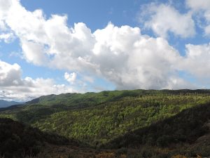 Ansó: Ruta circular del Vedau