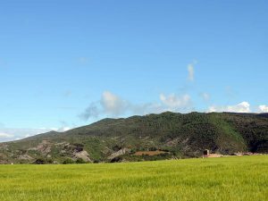 Ruta circular entre los núcleos de Santa Engracia, Javierregay y Puente la Reina