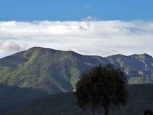 Ruta circular entre los núcleos de Santa Engracia, Javierregay y Puente la Reina