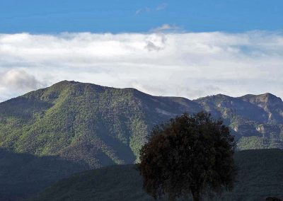 Ruta circular entre los núcleos de Santa Engracia, Javierregay y Puente la Reina