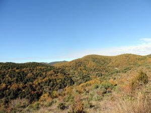 Ruta circular de las Cabañeras