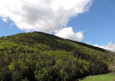 Ruta circular de las Cabañeras