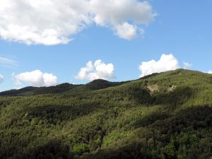 Ruta circular de las Cabañeras